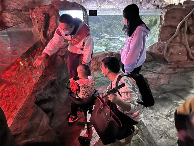 学生为游客讲解鱼种