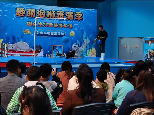 周庄镇村、社区居民观看海狮表演