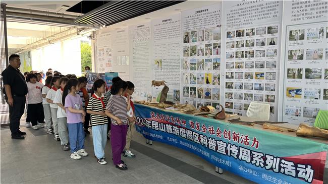 学生团在老师组织下有序看展